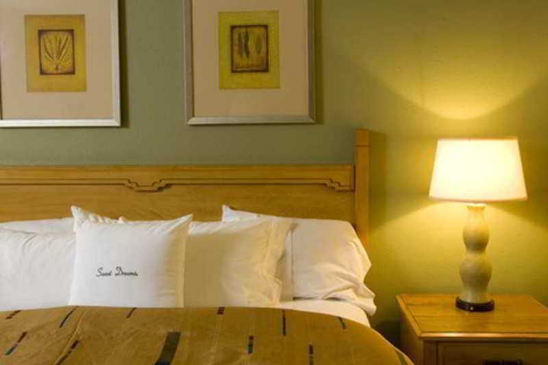 Doubletree By Hilton Tucson-Reid Park Hotel Værelse billede